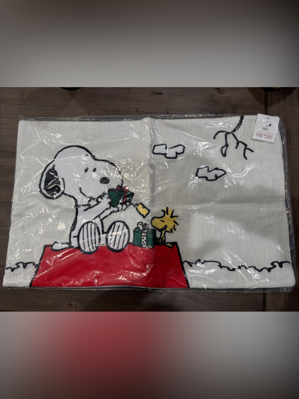 Pottery barn Christmas Peanuts Snoopy & Woodstock Holiday pillow cover NWT